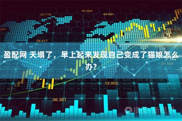 盈配网 天塌了，早上起来发现自己变成了猫娘怎么办?